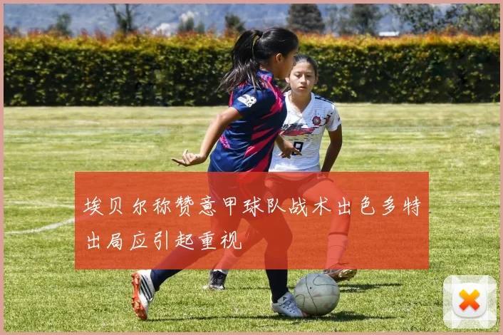 埃贝尔称赞意甲球队战术出色多特出局应引起重视