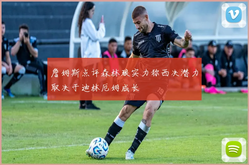 詹姆斯点评森林狼实力称西决潜力取决于迪林厄姆成长
