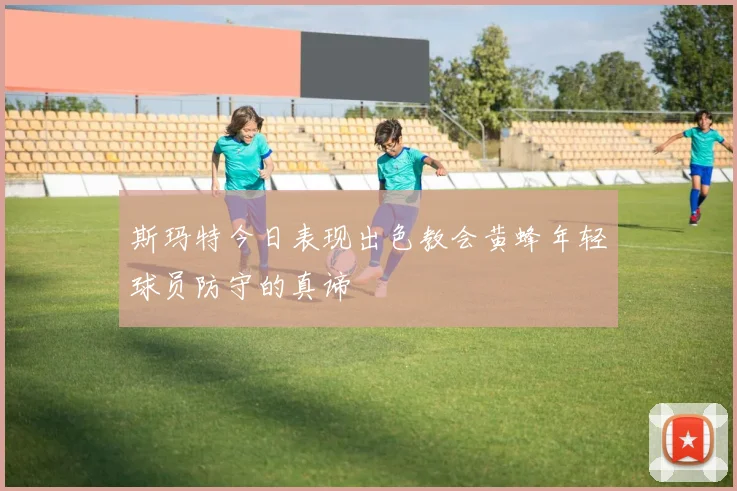 斯玛特今日表现出色教会黄蜂年轻球员防守的真谛
